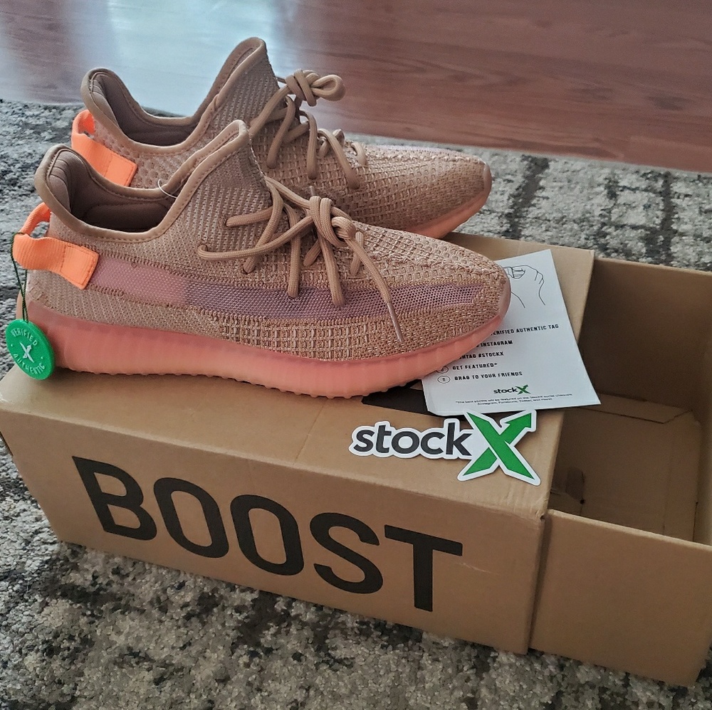 Yeezy boost 350 v2